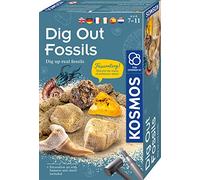 KOSMOS 616922 Kit d'excavation de fossiles, creusez de véritables fossiles, de véritables fossiles, de l'ambre Lui-même, avec Marteau et Burin, kit d'expérimentation pour Enfants à partir de 7 Ans,
