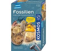 Kosmos 657918 Kit d'excavation de fossiles pour Creuser de véritables pétrifications et Ambre, avec Marteau et Burin, kit d'expérimentation pour Enfants à partir de 7 Ans