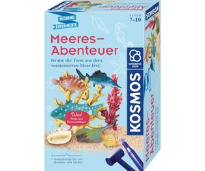 Kosmos 658038 Aventures Marines, creusez Les Animaux de la mer fossilisée avec Pendentif en Coquillage, kit d'expérimentation pour Enfants de 7 à 10 Ans, décoration, Bijoux, Souvenir, Petit Cadeau