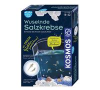 KOSMOS Boîte d'expérimentation Crabes de mer grouillants
