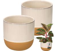 KOTARBAU® 2 pcs. Pot de fleurs Beige Crème Orange Céramique Hauteur 16 cm ⌀ 17 cm Cache-pot pour salon Handmade Pot de plantes pour jardin & balcon Vintage Pot de plantes Beige