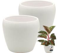KOTARBAU® 2 pcs. pot de fleurs blanc intérieur rond ⌀ 12 cm H : 12 cm céramique émaillée pots de fleurs intérieur cache-pot céramique pot de plantes intérieur cache-pots orchidées céramique pot de fle