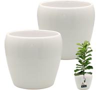 KOTARBAU® 2 pcs. Pot de fleurs blanc intérieur rond ⌀ 17,5 cm H : 19 cm céramique émaillée Pots de fleurs intérieur Cache-pot céramique Pot de plantes intérieur Cache-pots orchidées Céramique Pot de f