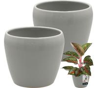 KOTARBAU® 2 pcs. Pot de fleurs Gris intérieur rond ⌀ 12 cm H : 12 cm Céramique émaillée Pots de fleurs intérieur Cache-pot Céramique Pot de plantes intérieur Cache-pots Orchidées Céramique Pot de fleu