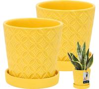 KOTARBAU® 2 pcs. Pot de plantes avec soucoupe jaune moutarde ⌀ 13 cm Hauteur : 15 cm Céramique émaillée Pot de fleurs céramique grand Plant Pot Cactus Pot avec soucoupe Cache-pot avec soucoupe Pots de