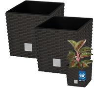 KOTARBAU® 2 x Pot De Fleur Carré De 6,8L avec Insert | Pot en Plastique Couleur Umbra | Pot Intérieur | Pot De Jardin À Texture De Rotin | avec Cache-Pot Extérieur | Pot De Fleur Rectangulaire