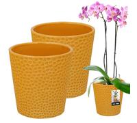 KOTARBAU® 2 x Pot De Fleur Rond En Céramique Moutarde ⌀ 9,5 cm |Cache Pot Céramique |Pot Céramique Plante |Pot De Fleur Céramique |Pot De Fleur En Céramique |Pot De Fleur Céramique |Pot Pour Orchidées
