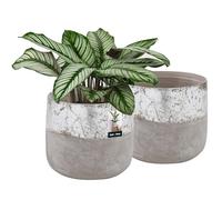 KOTARBAU® 2 x Pot De Fleurs Gris ⌀ 11,5 cm|Pot en Céramique Non-Émaillée pour Fleurs Et Herbes|Cache-Fleurs en Céramique Non-Émaillée|Cache Fleurs en Céramique|Pot De Fleurs en Céramique Naturelle