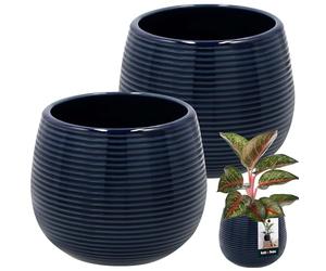 KOTARBAU® 2 x Pot De Fleurs Rond Bleu Cobalt avec ⌀ 12 Cm en Céramique Émaillée|Pot en Céramique Bleu Cobal|Cache-Fleur en Céramique Émaillée Cannelée|Pot De Fleurs avec Finition Brillante
