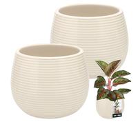 KOTARBAU® 2 x Pot De Fleurs Rond Crème avec ⌀ 12 Cm en Céramique Émaillée|Pot en Céramique Crème|Cache-Fleur en Céramique Émaillée Cannelée|Pot De Fleurs avec Finition Brillante|Pot De Fleurs Crème