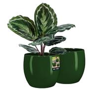 KOTARBAU® 2 x Pot De Fleurs Rond Vert De ⌀ 26 cm |Pot En Céramique Émaillée Pour Fleurs Et Herbes |Cache-Fleurs En Céramique Émaillée |Cache Fleurs En Céramique |Pot De Fleurs Avec Finition Brillante