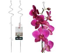 KOTARBAU® 2 x Poteau de support de fleurs 58 cm | Support de plantes en pot en lastique transparent spirale | Baton support fleurs