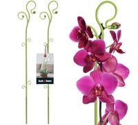 KOTARBAU® 2 x Poteau de Support de Fleurs 58 cm | Support de Plantes en Pot en Lastique Vert | Baton Support Fleurs