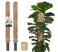 KOTARBAU® 2 x Tuteur Grimpante ⌀ 3,2 x 60 cm |Tuteur Coco |Support De Fleurs Grimpantes