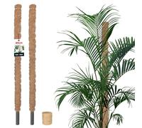KOTARBAU® 2 x Tuteur Plante Intérieur De ⌀ 2,5 x 80 cm |Tuteur Coco |Support De Plantes Grimpantes Poteau