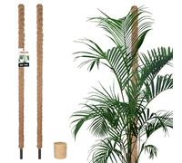 KOTARBAU® 2 x Tuteur Plante Interieur | Tuteur Coco | Tuteur Plante Grimpante, Tuteurs pour Plantes | Tuteur Monstera Deliciosa ⌀ 3,2 x 180 cm en Fibres de Coco 2 Pieces + Ficelle Offerte