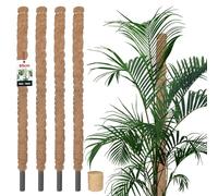 KOTARBAU® 4 pcs Tuteur Plante - Tuteur Coco - ⌀ 2.5 x 80 cm - Fibre de Coco - Tuteurs pour Monstera - Marron - pour Plantes Grimpantes