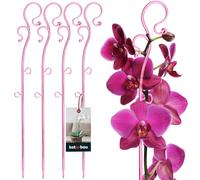 KOTARBAU® 4 x Poteau de support de fleurs 39 cm | Support de plantes en pot en lastique Rose | Baton support fleurs