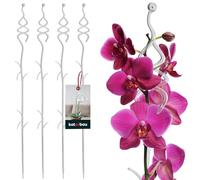 KOTARBAU® 4 x Poteau de Support de Fleurs 55 cm | Support de Plantes en Pot en Lastique Transparent Sapin | Baton Support Fleurs