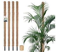 KOTARBAU® 4 x Tuteur Plante Interieur | Tuteur Coco | Tuteur Plante Grimpante, Tuteurs pour Plantes | Tuteur Monstera Deliciosa ⌀ 3,2 x 150 cm en Fibres de Coco Quatre Pieces + Ficelle Offerte