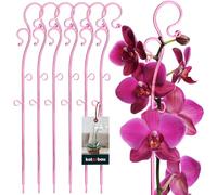 KOTARBAU® 6 x Poteau de Support de Fleurs 39 cm | Support de Plantes en Pot en Lastique Rose | Baton Support Fleurs