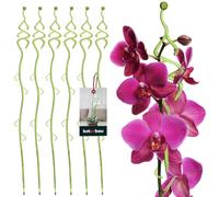 KOTARBAU® 6 x Poteau de Support de Fleurs 55 cm | Support de Plantes en Pot en Lastique Vert Sapin | Baton Support Fleurs