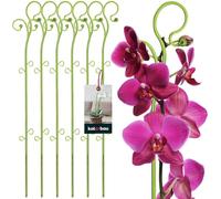 KOTARBAU® 6 x Poteau de Support de Fleurs 58 cm | Support de Plantes en Pot en Lastique Vert | Baton Support Fleurs