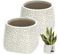KOTARBAU® Cache-pot Céramique non émaillée Finition mate Gris bulbeux ⌀ 11 cm | H 11 cm 2 pcs Cache-pots Cache-pots pour plantes d'intérieur Céramique Grand pot de fleurs Céramique Pot de fleurs moder