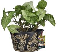 KOTARBAU® Cache-pot de fleurs noir feuilles ⌀ 16 x 12 cm acier panier cadeau vide pot de fleurs noir panier cadeau vide pots de fleurs décoratifs noir mat cache-pot pour fleurs plantes aromatiques