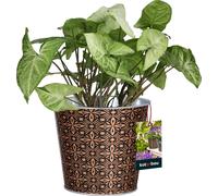 KOTARBAU® Cache-pot doré rond avec motif mosaïque ⌀ 12,5 x 12 cm acier Pot de fleurs noir mat Cache-pots déco