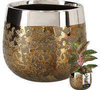 KOTARBAU® Céramique Pot de fleurs Or rond effet miroir ⌀ 12,5 cm Hauteur 13 cm 1 pc. Cache-pot Or Pot de fleurs or grand Glamour Pots de fleurs Pot de plantes grand Indoor