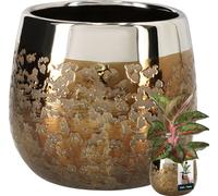 KOTARBAU® Céramique Pot de fleurs Or rond effet miroir ⌀ 14 cm Hauteur 16 cm 1 pc. Cache-pot Or Pot de fleurs or grand Glamour Pots de fleurs Pot de plantes grand Indoor