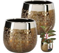 KOTARBAU® Céramique Pot de fleurs or rond effet miroir ⌀ 14 cm Hauteur 16 cm 2 pcs Cache-pot Or Pot de fleurs or grand Glamour Fleurs Pots Pot de plantes grand Intérieur