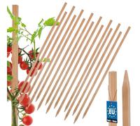 KOTARBAU® Lot de 15 tuteurs de tomates - 60 cm - Poteaux en bois pointus - Support pour plantes - Support de clôture - Tuteurs de plantes en bois pour stabiliser les plantes