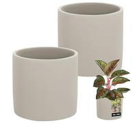 KOTARBAU® Lot de 2 Grands Pots de Fleurs en céramique Style Ethno - Cylindre ⌀ 16 cm, Hauteur 15 cm - Finition béton - Petites jardinières pour Plantes