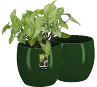 KOTARBAU® Lot de 2 pots de fleurs en céramique ronds ⌀ 10 cm Hauteur : 9,5 cm Vert Cache-pot en céramique Cache-pots pour plantes d'intérieur Pot de fleurs moderne petits cache-pots Pot pour plantes e