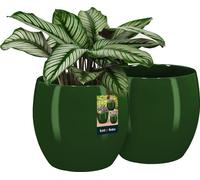 KOTARBAU® Lot de 2 pots de fleurs en céramique ronds ⌀ 19 cm Hauteur : 20,5 cm Vert Cache-pot en céramique Cache-pots pour plantes d'intérieur Pot de fleurs moderne petits cache-pots Pot pour plantes