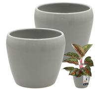 KOTARBAU® Lot de 2 pots de fleurs gris ronds en céramique émaillée pour intérieur ⌀ 12 cm H: 12 cm pots de fleurs grands pour orchidées et plantes Pot de fleurs