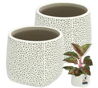 KOTARBAU® Lot de 2 pots de fleurs non émaillés - Finition mate - Gris - Diamètre : 12,5 cm - Hauteur : 12,5 cm - Pour plantes d'intérieur - En céramique - Grand pot de fleurs moderne