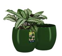 KOTARBAU Lot de 2 pots de fleurs ronds en céramique - Ø : 21 cm - H : 22 cm - Vert - Cache-pot pour orchidées