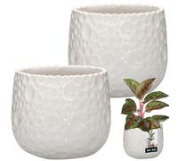 KOTARBAU Lot de 2 pots de fleurs ronds en céramique, diamètre : 12 cm, hauteur : 12,5 cm, blanc, cache-pot pour plantes d'intérieur, modernes, petits pots pour orchidées