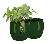 KOTARBAU Lot de 2 pots de fleurs ronds en céramique, diamètre : 15 cm, hauteur : 16 cm, vert, cache-pot pour plantes d'intérieur