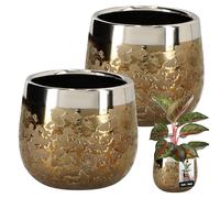 KOTARBAU® Lot de 2 pots de fleurs ronds en céramique - Effet miroir - Diamètre : 10 cm - Hauteur : 11 cm - Grand pot de fleurs glamour - Pour l'intérieur