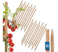 KOTARBAU® Lot de 20 tuteurs de tomates - 40 cm - Poteaux en bois pointus - Support pour plantes - Support de clôture - Tuteurs de plantes en bois pour stabiliser les plantes