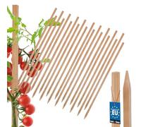 KOTARBAU® Lot de 20 tuteurs de tomates - 60 cm - Poteaux en bois pointus - Support pour plantes - Support de clôture - Tuteurs de plantes en bois pour stabiliser les plantes