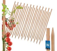 KOTARBAU® Lot de 25 tuteurs à tomates Tuteurs de plantation en bois 50 cm Poteau de clôture en bois Piquet en bois pointu Support de plante Poteau de clôture en bois Aide à la croissance Tuteurs de pl