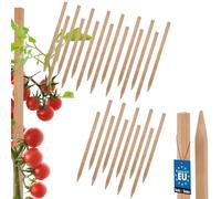 KOTARBAU® Lot de 25 tuteurs de tomates - 25 cm - Poteaux en bois pointus - Support pour plantes - Support de clôture - Tuteurs de plantes en bois pour stabiliser les plantes