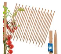 KOTARBAU® Lot de 25 tuteurs à tomates Tuteurs de plantation en bois 50 cm Poteau de clôture en bois Piquet en bois pointu Support de plante Poteau de clôture en bois Aide à la croissance Tuteurs de pl