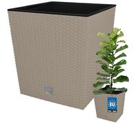 KOTARBAU® Pot De Fleur Carré De 32L avec Insert | Pot en Plastique Couleur Moka | Pot Intérieur | Pot De Jardin À Texture De Rotin | avec Cache-Pot Extérieur | Pot De Fleur Rectangulaire