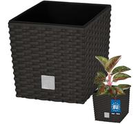 KOTARBAU® Pot De Fleur Carré De 6,8L avec Insert | Pot en Plastique Couleur Umbra | Pot Intérieur | Pot De Jardin À Texture De Rotin | avec Cache-Pot Extérieur | Pot De Fleur Rectangulaire